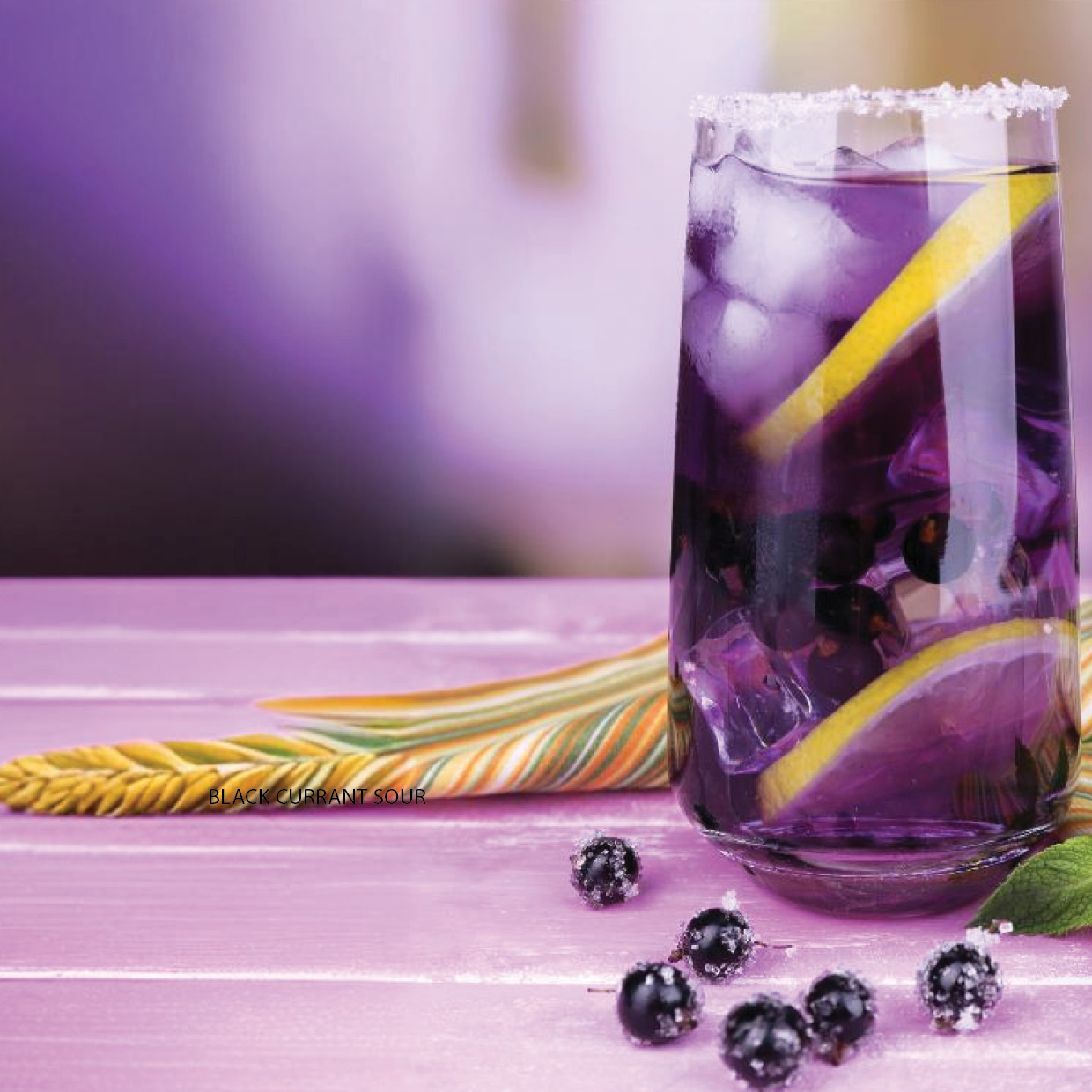 Black Currant Sour 200 ml